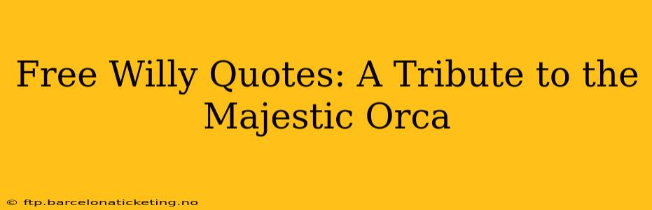 Free Willy Quotes: A Tribute to the Majestic Orca