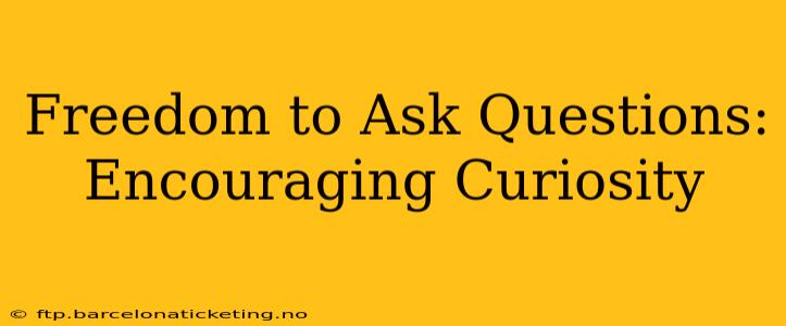Freedom to Ask Questions: Encouraging Curiosity
