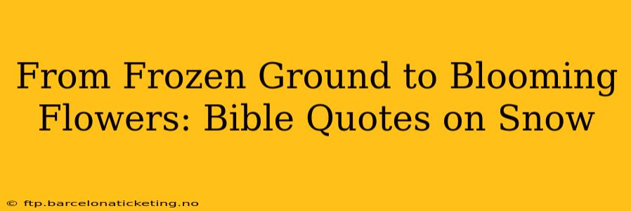 From Frozen Ground to Blooming Flowers: Bible Quotes on Snow