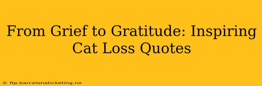 From Grief to Gratitude: Inspiring Cat Loss Quotes