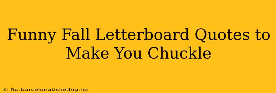 Funny Fall Letterboard Quotes to Make You Chuckle