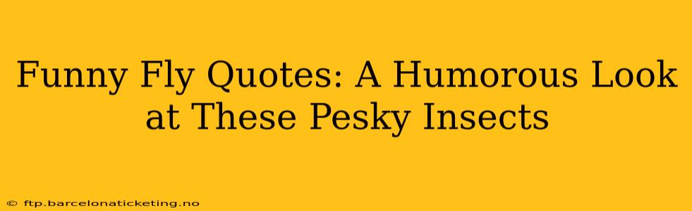 Funny Fly Quotes: A Humorous Look at These Pesky Insects
