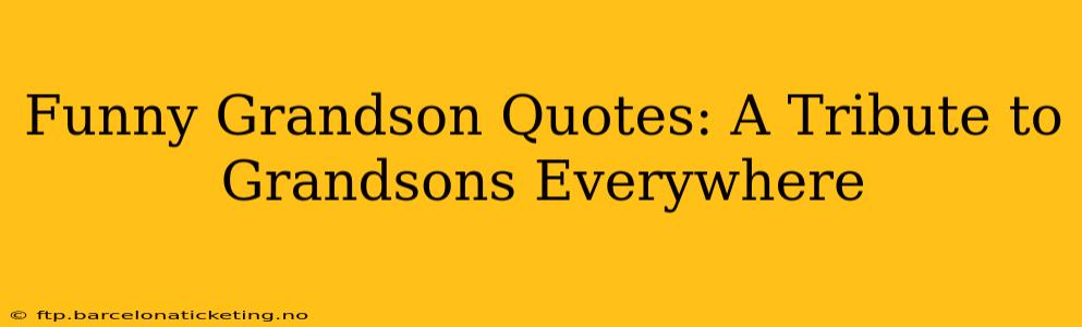 Funny Grandson Quotes: A Tribute to Grandsons Everywhere
