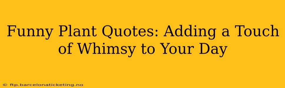 Funny Plant Quotes: Adding a Touch of Whimsy to Your Day