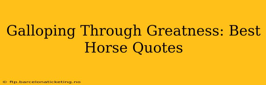 Galloping Through Greatness: Best Horse Quotes