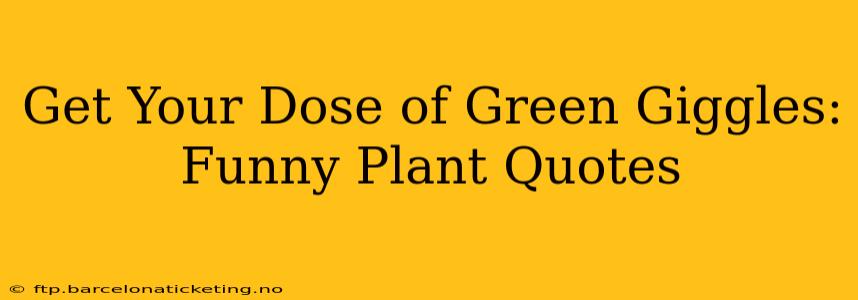 Get Your Dose of Green Giggles: Funny Plant Quotes