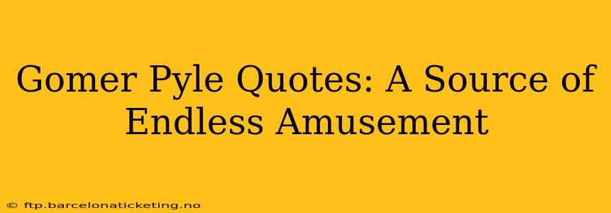 Gomer Pyle Quotes: A Source of Endless Amusement