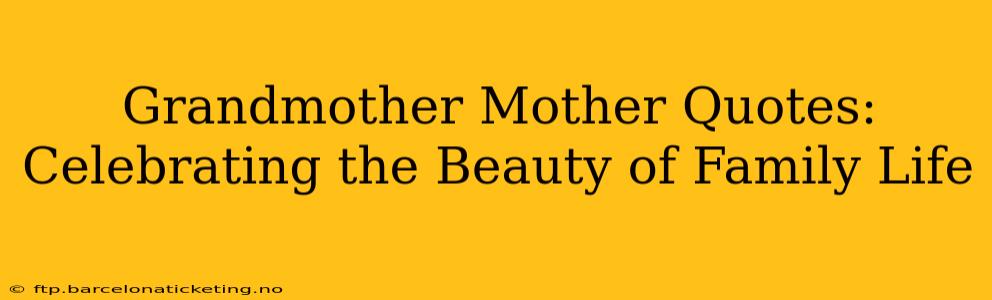 Grandmother Mother Quotes:  Celebrating the Beauty of Family Life