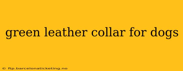 green leather collar for dogs