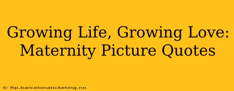 Growing Life, Growing Love: Maternity Picture Quotes