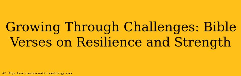 Growing Through Challenges: Bible Verses on Resilience and Strength