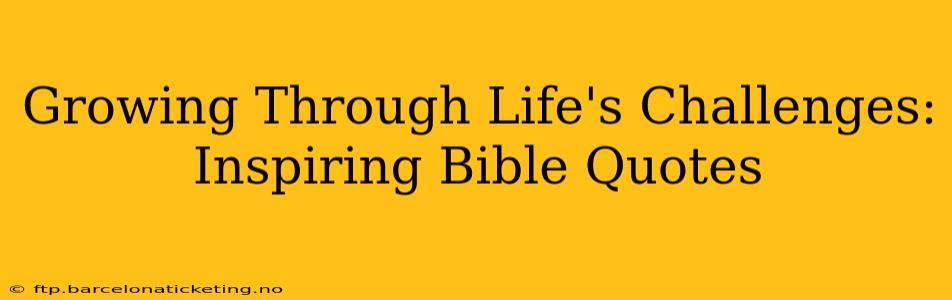 Growing Through Life's Challenges: Inspiring Bible Quotes