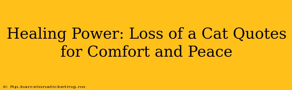 Healing Power: Loss of a Cat Quotes for Comfort and Peace