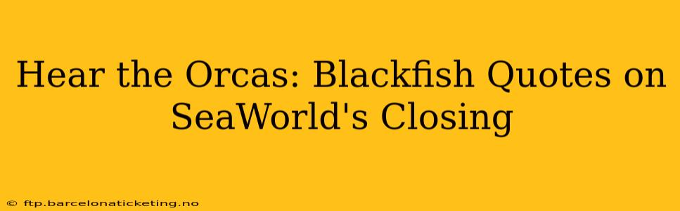Hear the Orcas: Blackfish Quotes on SeaWorld's Closing