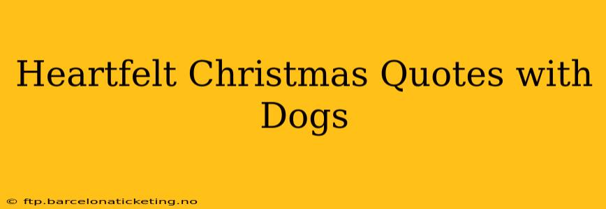 Heartfelt Christmas Quotes with Dogs