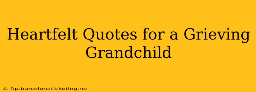 Heartfelt Quotes for a Grieving Grandchild