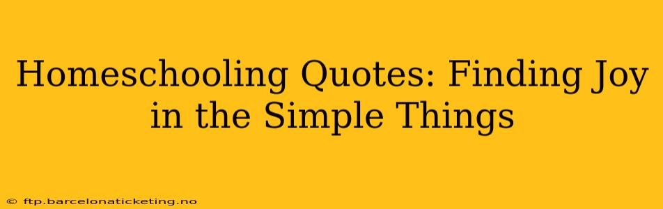 Homeschooling Quotes: Finding Joy in the Simple Things