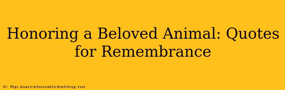 Honoring a Beloved Animal: Quotes for Remembrance