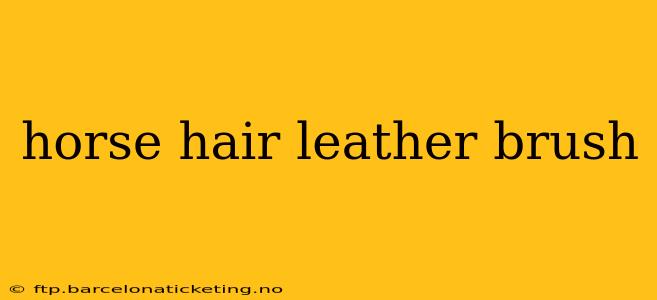 horse hair leather brush