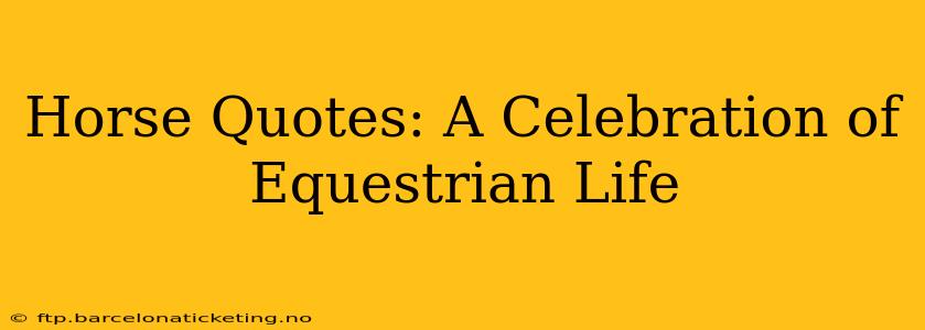 Horse Quotes: A Celebration of Equestrian Life