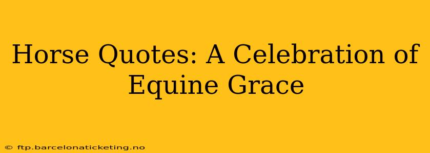 Horse Quotes: A Celebration of Equine Grace