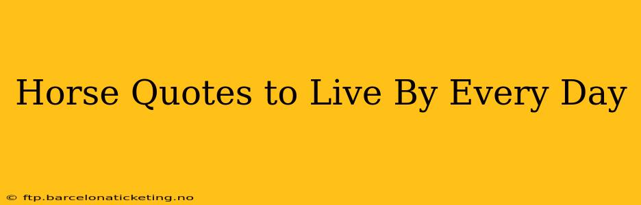 Horse Quotes to Live By Every Day