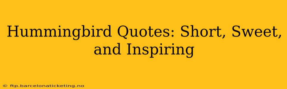 Hummingbird Quotes: Short, Sweet, and Inspiring