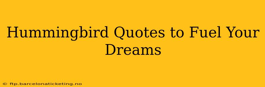 Hummingbird Quotes to Fuel Your Dreams