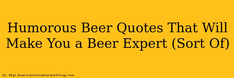 Humorous Beer Quotes That Will Make You a Beer Expert (Sort Of)