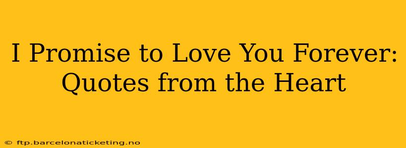 I Promise to Love You Forever: Quotes from the Heart