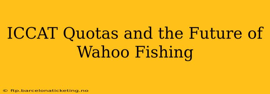 ICCAT Quotas and the Future of Wahoo Fishing