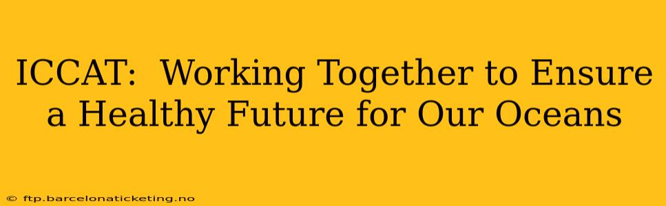 ICCAT:  Working Together to Ensure a Healthy Future for Our Oceans