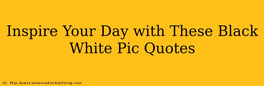 Inspire Your Day with These Black White Pic Quotes