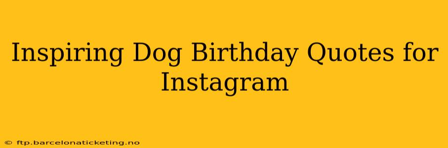 Inspiring Dog Birthday Quotes for Instagram