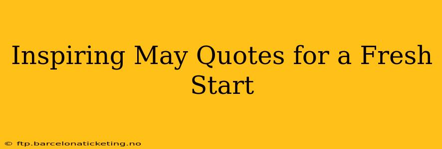 Inspiring May Quotes for a Fresh Start