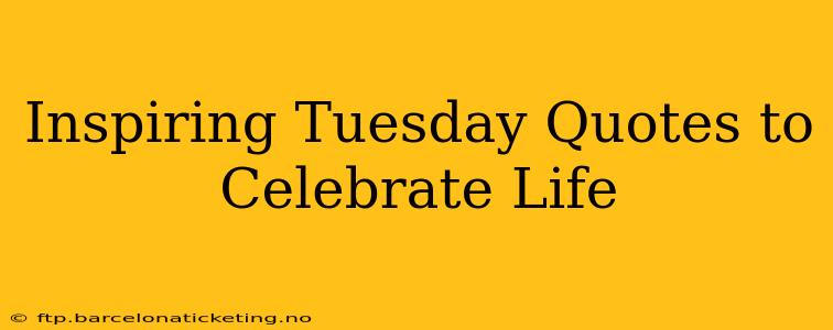 Inspiring Tuesday Quotes to Celebrate Life