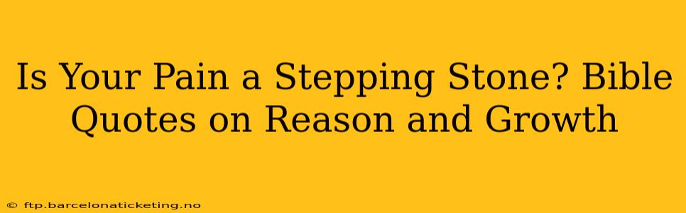 Is Your Pain a Stepping Stone? Bible Quotes on Reason and Growth