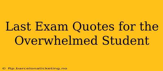 Last Exam Quotes for the Overwhelmed Student