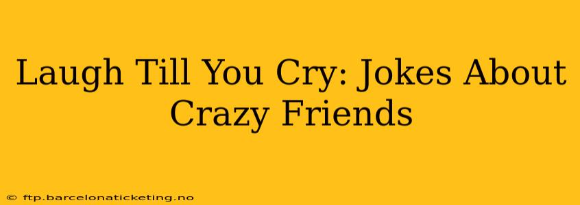 Laugh Till You Cry: Jokes About Crazy Friends