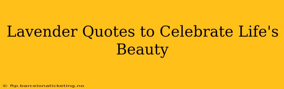 Lavender Quotes to Celebrate Life's Beauty