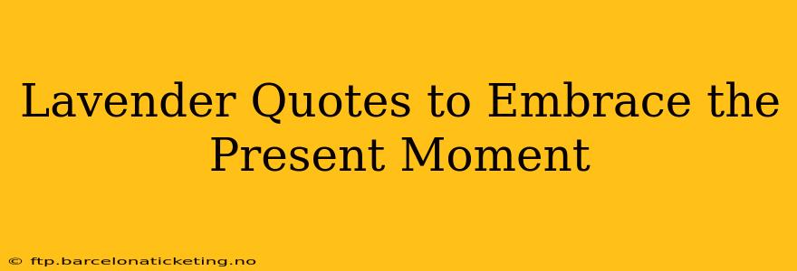 Lavender Quotes to Embrace the Present Moment