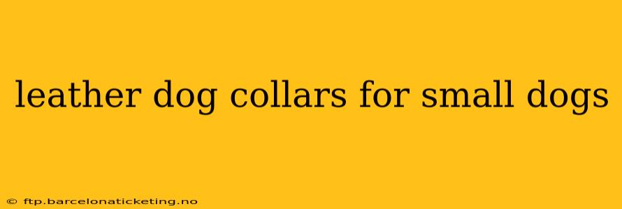 leather dog collars for small dogs