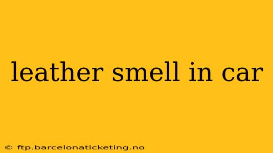 leather smell in car