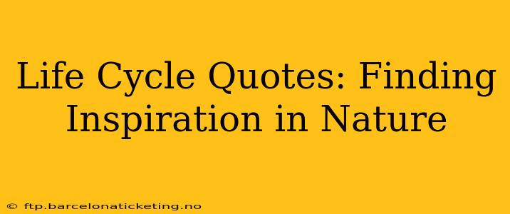 Life Cycle Quotes: Finding Inspiration in Nature