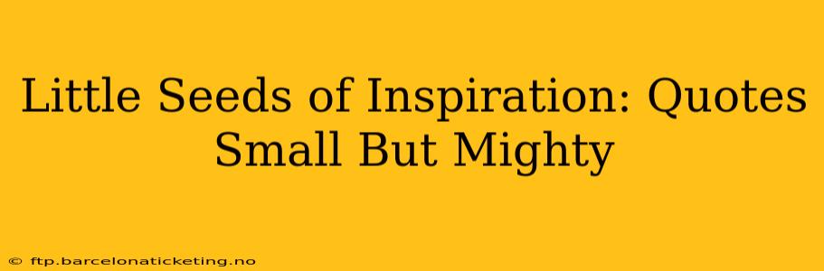 Little Seeds of Inspiration: Quotes Small But Mighty