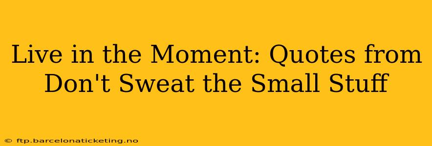 Live in the Moment: Quotes from Don't Sweat the Small Stuff