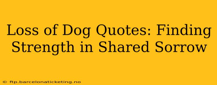 Loss of Dog Quotes: Finding Strength in Shared Sorrow