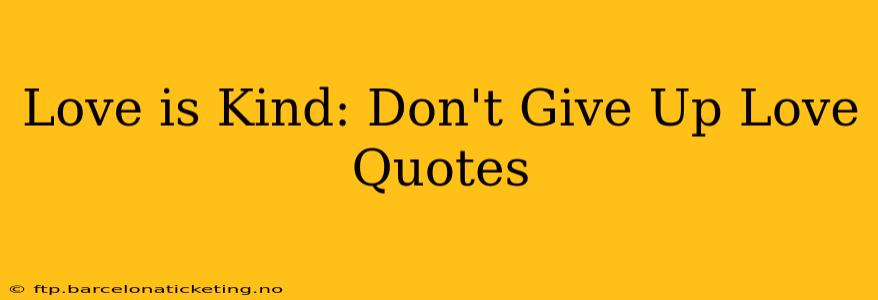 Love is Kind: Don't Give Up Love Quotes
