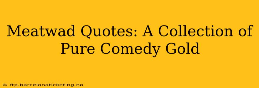 Meatwad Quotes: A Collection of Pure Comedy Gold