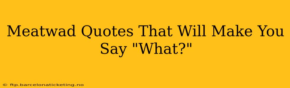 Meatwad Quotes That Will Make You Say "What?"